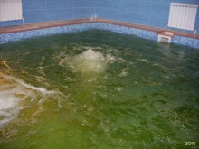 торгово-сервисная компания Водный Мир-Сервис в Екатеринбурге