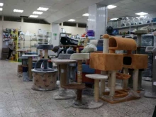 сеть магазинов ЗооCервис в Тольятти