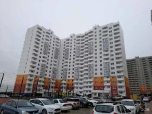 образовательный центр Honey в Новороссийске