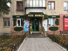 салон цветов и гелиевых шаров Роза-мимоза в Чебаркуле