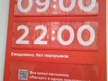 Магнит, улица Тенишевой, 8 