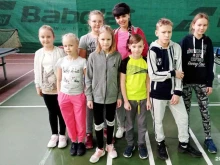 детский клуб настольного тенниса Фаербол в Красногорске
