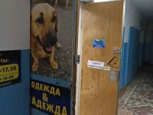 Головные / шейные уборы Магазин одежды в Минусинске
