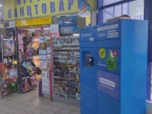 Магазин канцелярских товаров и игрушек, Маршала Казакова, 7 