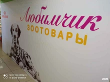 магазин зоотоваров Любимчик в Братске