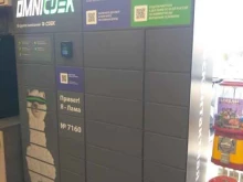 постамат №7160 OmniCDEK в Донском