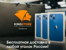 Ремонт мобильных телефонов KingStore в Новом Уренгое