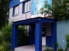 столовая Сытый кролик в Кургане