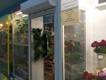 магазин Сувенирчиков в Кировске