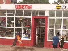 Подарочная упаковка Цветочный магазин в Нижнем Новгороде