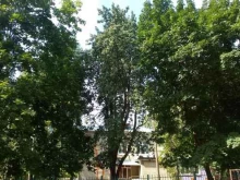 Детские сады Детский сад №80 в Владимире