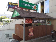 магазин-бар разливных напитков ПивАут в Рязани