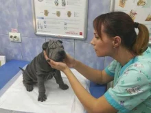 ветеринарная клиника Доверие в Краснодаре