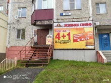 магазин живого пива Пивной залив в Сургуте