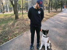 Клубы домашних животных / Питомники Школа дрессировки собак в Ессентуках