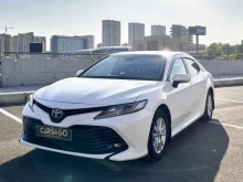 клуб проката автомобилей Cars&go в Красноярске