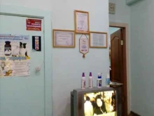 ветеринарный центр Панацея в Комсомольске-на-Амуре