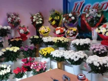 Живые цветы, проезд Строителей, 2 