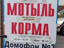 магазин Рыбки в Калуге
