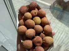 магазин экзотических фруктов и свежих ягод Фруктовое пати в Иркутске
