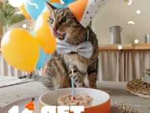 магазин зоотоваров Petshop.ru в Кемерово
