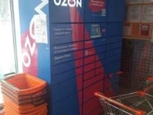 Постамат №11234 Ozon box в Балашихе