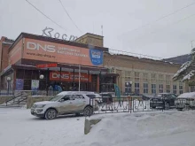 компания по аренде ростовых кукол МиССиМ в Челябинске