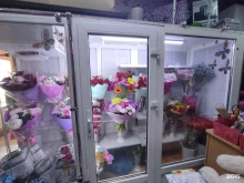 магазин цветов Тюльпан в Павловске