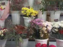 магазин цветов Букет в Майкопе