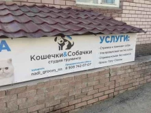 Кошечки & собачки, Бетанкура, 2 