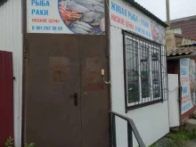 Рыба / Морепродукты Киоск по продаже рыбы и раков в Омске