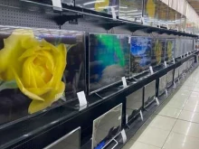 гипермаркет цифровой, бытовой техники и электроинструментов DNS в Барнауле