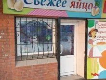 магазин по продаже консервированной продукции и семян Свежее яйцо в Черногорске