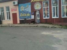 магазин разливного пива Хмель в Ельце