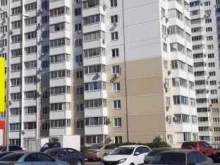 питомник по разведению домашних животных Кот Мариан в Новороссийске