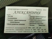 центр коррекции задержек развития Александрия в Красноярске