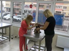 ветеринарный центр Спасатель в Краснодаре