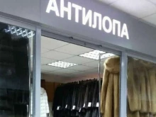салон меховых изделий Антилопа в Барнауле