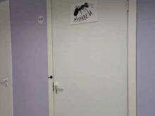 Городские автогрузоперевозки Муравей в Барнауле