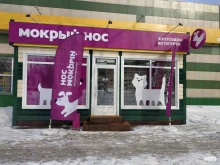 Мокрый нос, улица Зорге, 133/3 к1 