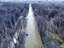 Парки культуры и отдыха Лесопарк в Рязани