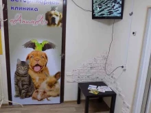 центр льготной стерилизации и кастрации животных АнимА в Омске