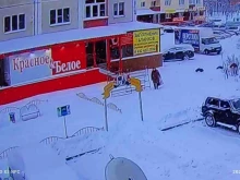 магазин Красное&белое в Сургуте