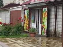 Овощи / Фрукты Магазин по продаже фруктов и овощей в Черкесске