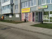 магазин бытовой техники Техноимпорт в Светлом