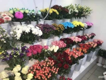 цветочный магазин Цветы от Маргариты в Твери