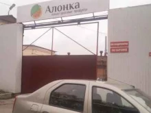 Сыры Сырзавод в Владимире