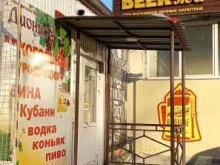 магазин-бар Дионис в Тольятти