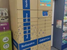 Постамат №1290 OZON box в Нижнем Новгороде