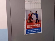 Центр самбо им. Александра Брюханова, проспект Ленина, 66а ст1 